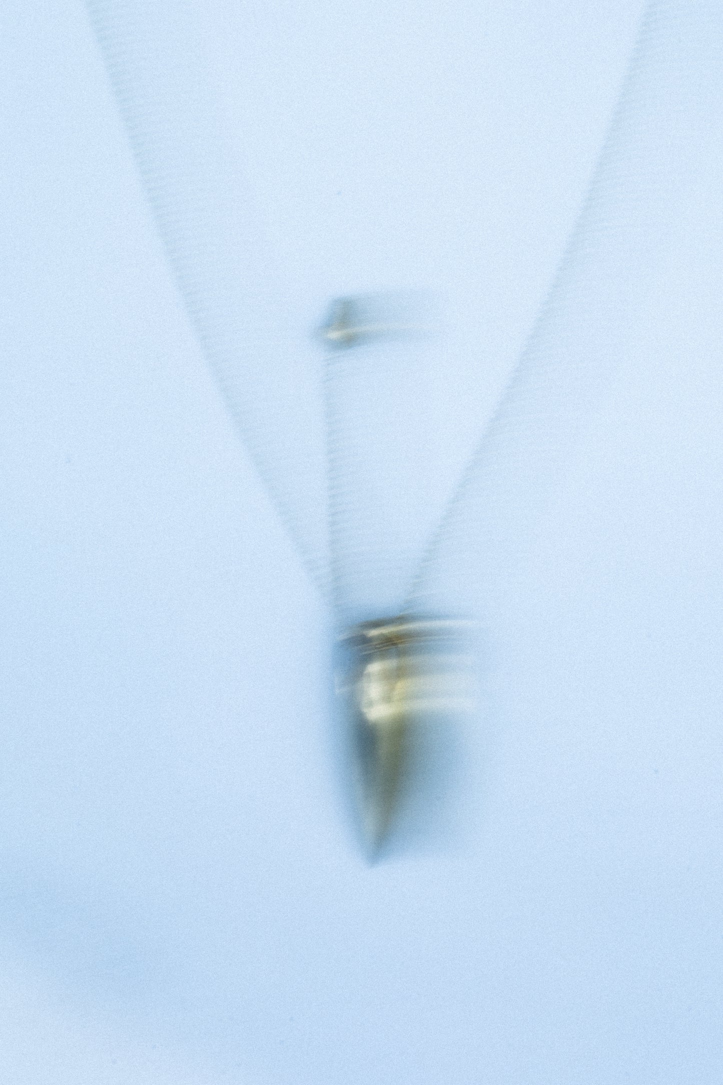 EUPHORIA BELLE  Vessel in 18K Gold Vermeil