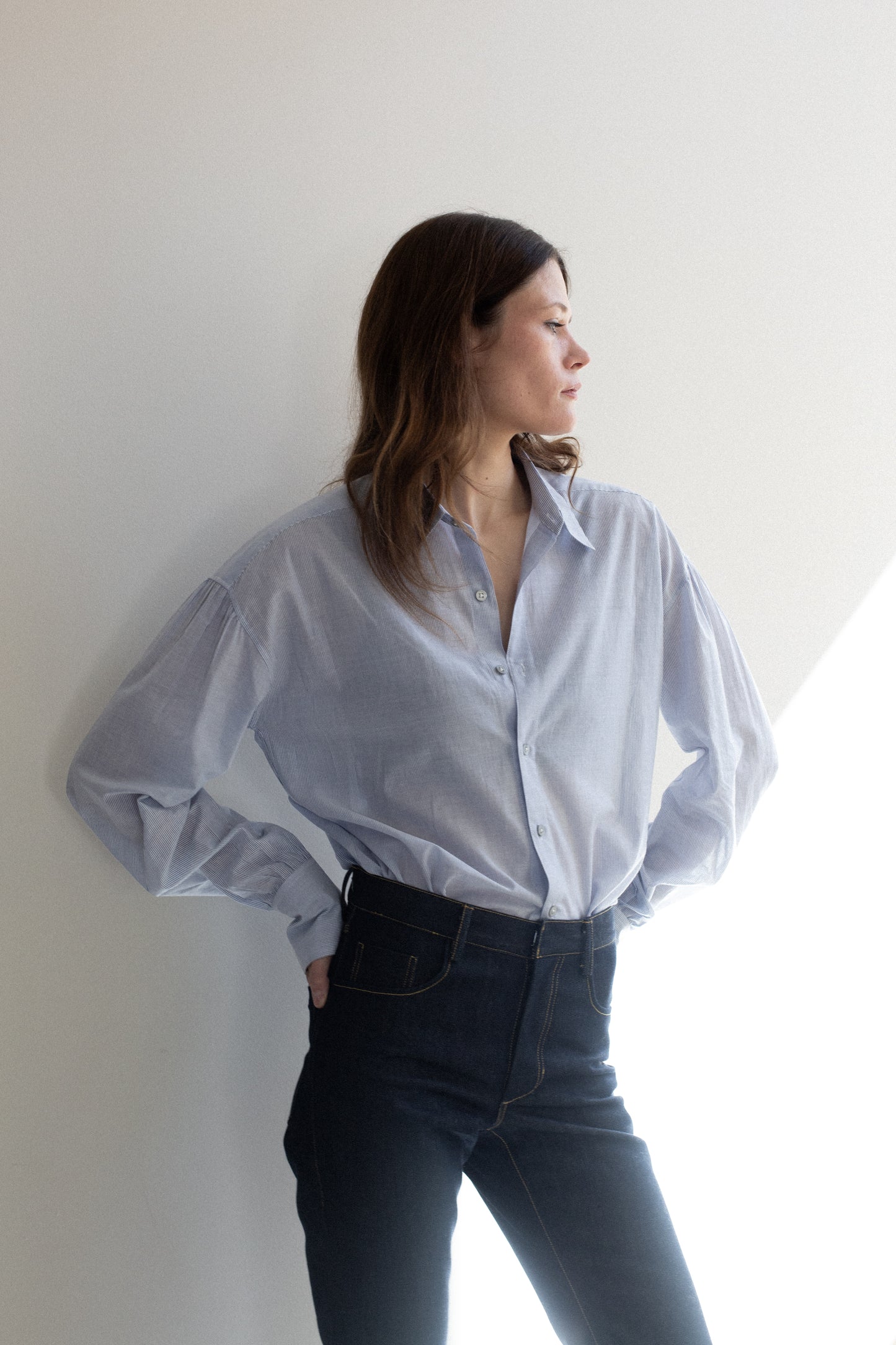 Arc Blue Pin Stripe Shirt