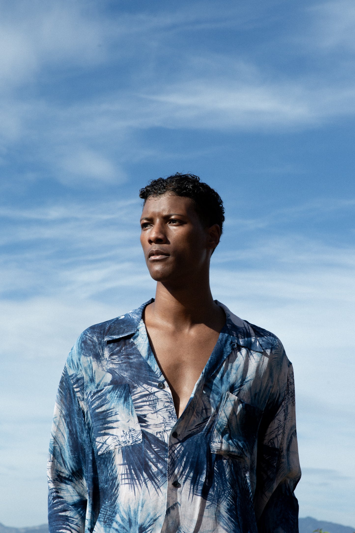 Dress Shirt in Palm Print Rayon